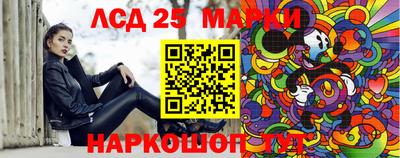 индика Тула