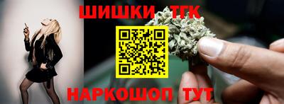 индика Тула
