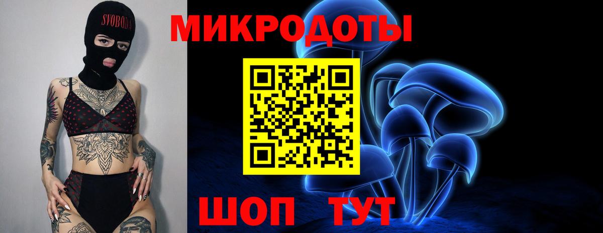 Галлюциногенные грибы Psilocybe Братск